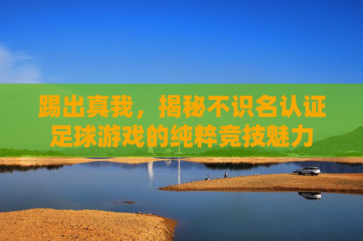 踢出真我,揭秘不识名认证足球游戏的纯粹竞技魅力