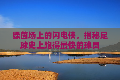 绿茵场上的闪电侠,揭秘足球史上跑得最快的球员