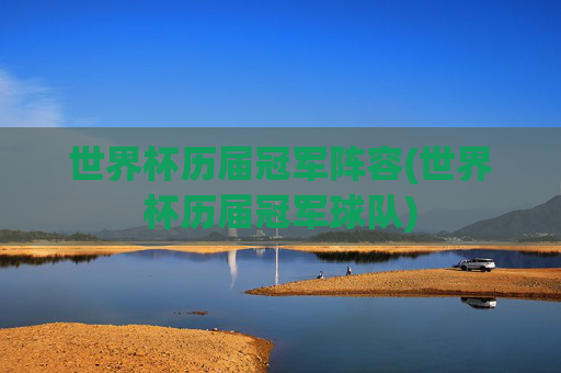 世界杯历届冠军阵容(世界杯历届冠军球队)