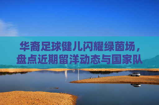 华裔足球健儿闪耀绿茵场,盘点近期留洋动态与国家队未来展望