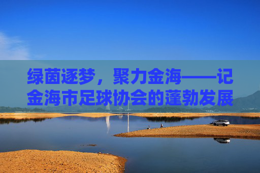 绿茵逐梦,聚力金海——记金海市足球协会的蓬勃发展