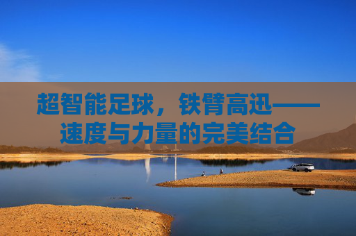 超智能足球,铁臂高迅——速度与力量的完美结合