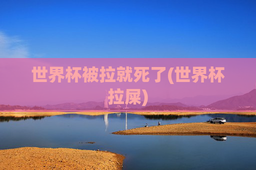 世界杯被拉就死了(世界杯拉屎)