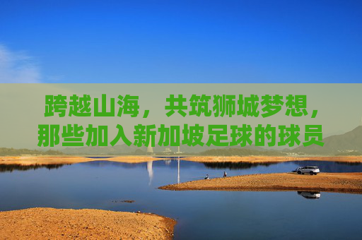 跨越山海,共筑狮城梦想,那些加入新加坡足球的球员们
