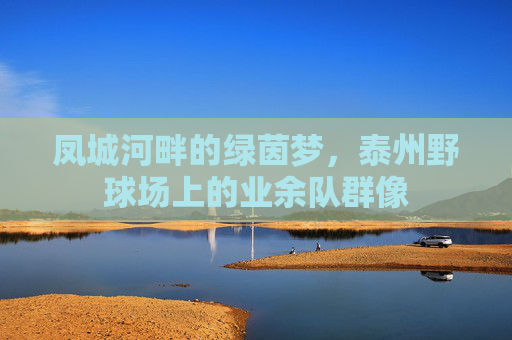 凤城河畔的绿茵梦,泰州野球场上的业余队群像