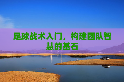 足球战术入门，构建团队智慧的基石