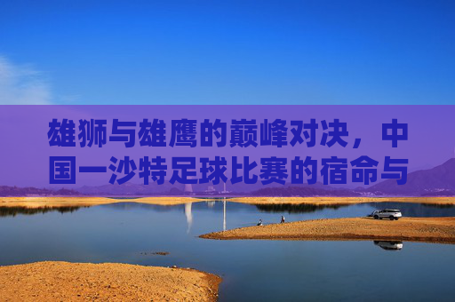 雄狮与雄鹰的巅峰对决,中国一沙特足球比赛的宿命与希望