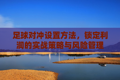 足球对冲设置方法,锁定利润的实战策略与风险管理