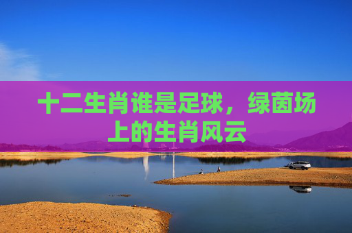 十二生肖谁是足球,绿茵场上的生肖风云