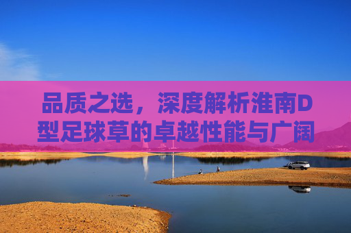 品质之选,深度解析淮南D型足球草的卓越性能与广阔前景