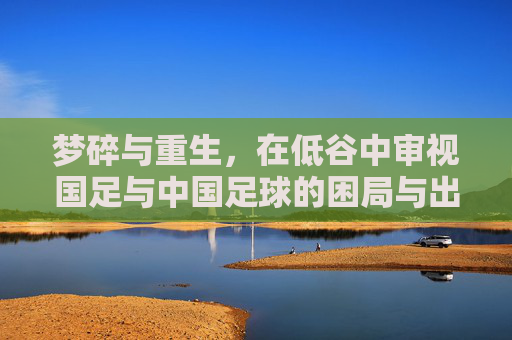 梦碎与重生,在低谷中审视国足与中国足球的困局与出路