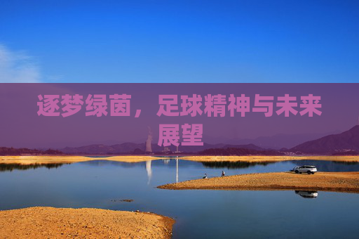 逐梦绿茵,足球精神与未来展望