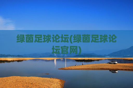 绿茵足球论坛(绿茵足球论坛官网)