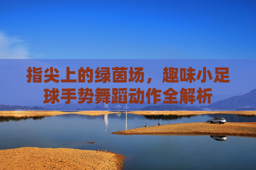 指尖上的绿茵场,趣味小足球手势舞蹈动作全解析