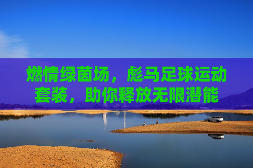 燃情绿茵场,彪马足球运动套装,助你释放无限潜能