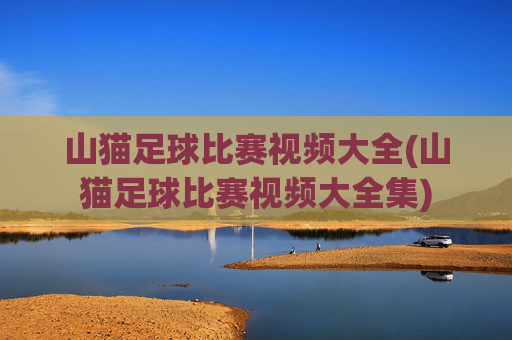 山猫足球比赛视频大全(山猫足球比赛视频大全集)