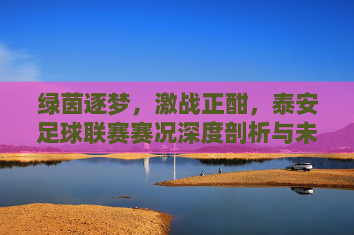 绿茵逐梦,激战正酣,泰安足球联赛赛况深度剖析与未来展望