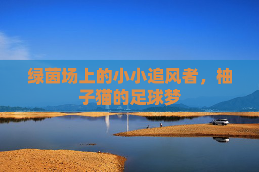 绿茵场上的小小追风者，柚子猫的足球梦