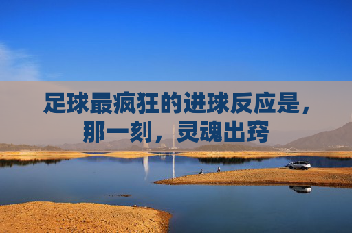 足球最疯狂的进球反应是,那一刻,灵魂出窍
