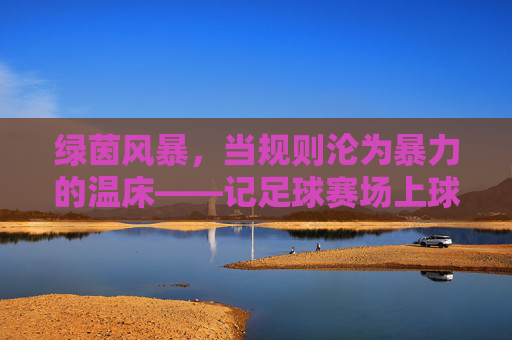 绿茵风暴,当规则沦为暴力的温床——记足球赛场上球员追打裁判的悲剧时刻