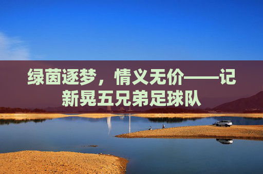 绿茵逐梦,情义无价——记新晃五兄弟足球队