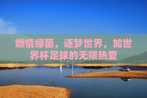 燃情绿茵,逐梦世界,加世界杯足球的无限热爱