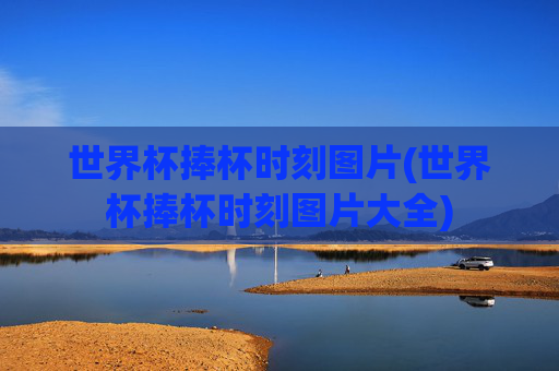 世界杯捧杯时刻图片(世界杯捧杯时刻图片大全)