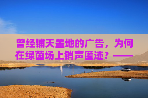 曾经铺天盖地的广告,为何在绿茵场上销声匿迹?——探寻足球广告的隐身真相