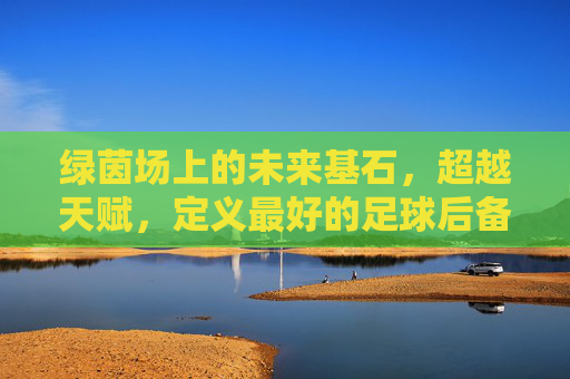 绿茵场上的未来基石,超越天赋,定义最好的足球后备人才