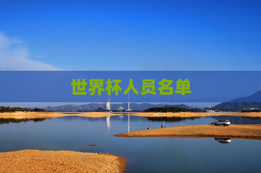 世界杯人员名单
