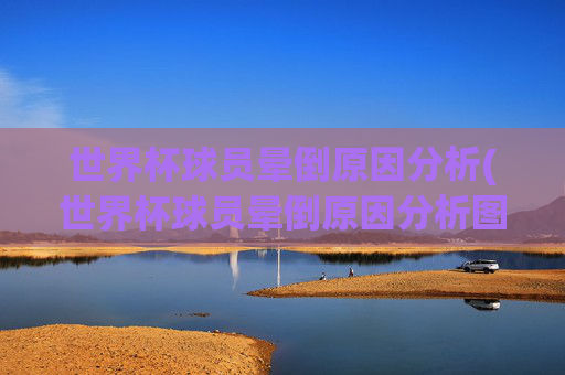 世界杯球员晕倒原因分析(世界杯球员晕倒原因分析图)