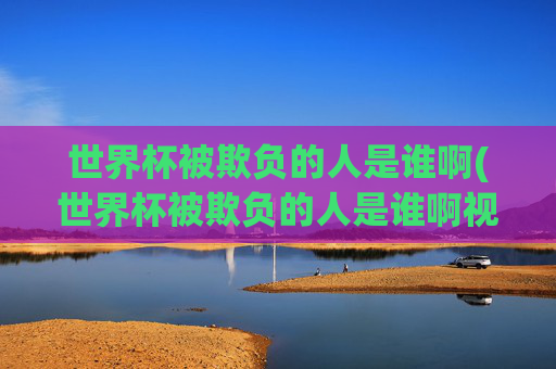世界杯被欺负的人是谁啊(世界杯被欺负的人是谁啊视频)