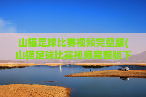 山猫足球比赛视频完整版(山猫足球比赛视频完整版下载)