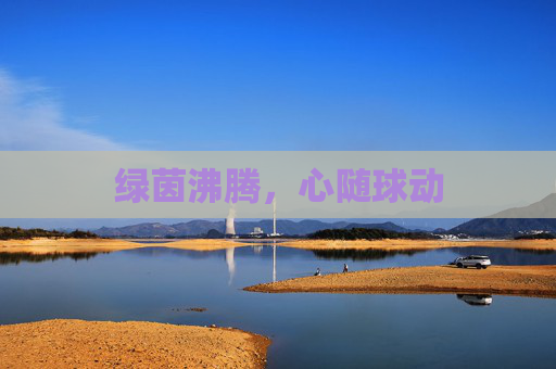 绿茵沸腾，心随球动