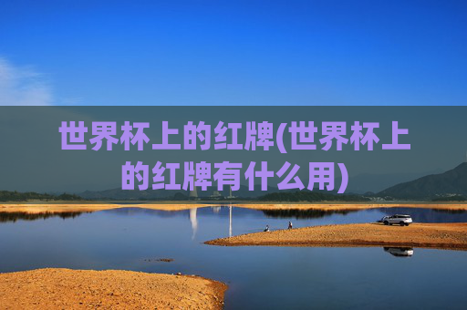 世界杯上的红牌(世界杯上的红牌有什么用)