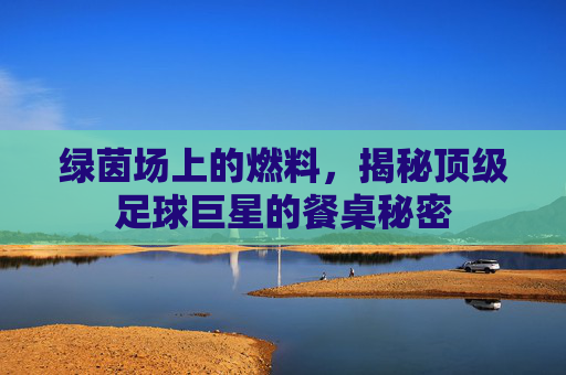 绿茵场上的燃料,揭秘顶级足球巨星的餐桌秘密