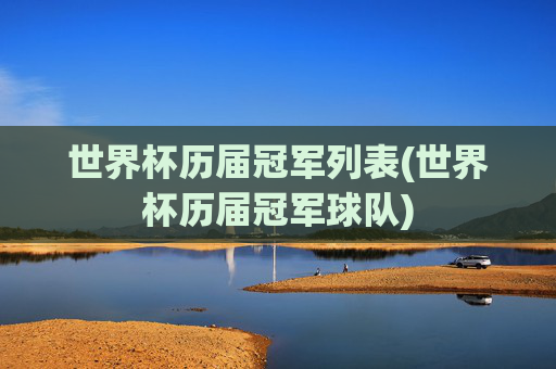 世界杯历届冠军列表(世界杯历届冠军球队)
