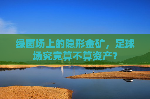 绿茵场上的隐形金矿,足球场究竟算不算资产?