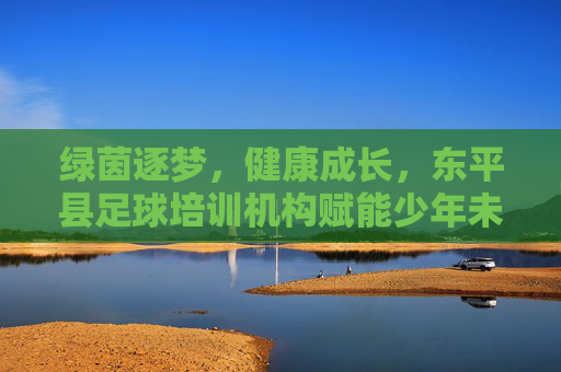 绿茵逐梦,健康成长,东平县足球培训机构赋能少年未来