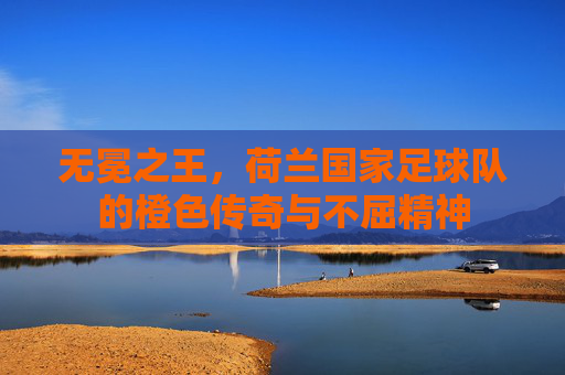 无冕之王,荷兰国家足球队的橙色传奇与不屈精神