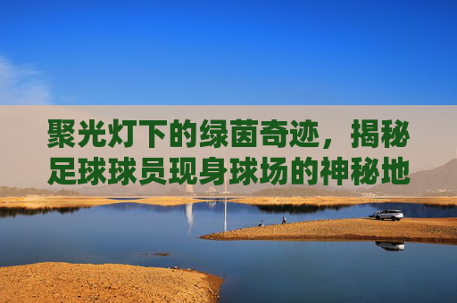 聚光灯下的绿茵奇迹,揭秘足球球员现身球场的神秘地点