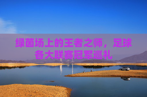 绿茵场上的王者之师,足球各大联赛冠军巡礼