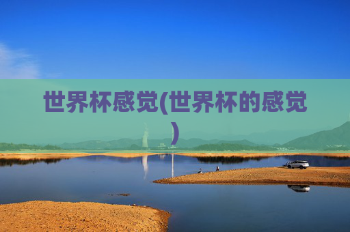 世界杯感觉(世界杯的感觉)
