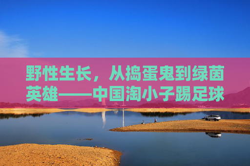 野性生长,从捣蛋鬼到绿茵英雄——中国淘小子踢足球的逆袭之路