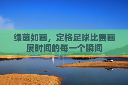 绿茵如画，定格足球比赛画展时间的每一个瞬间