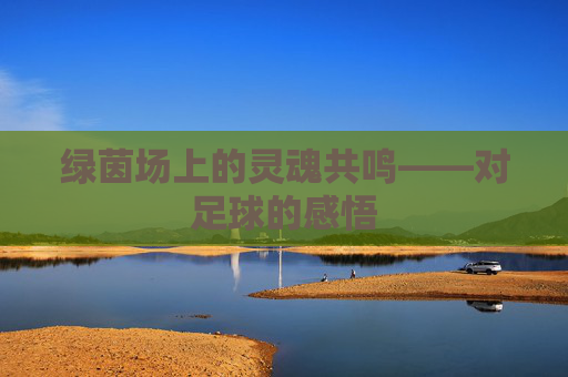 绿茵场上的灵魂共鸣——对足球的感悟