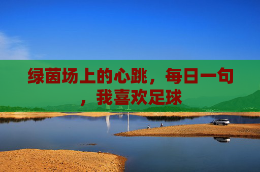 绿茵场上的心跳,每日一句,我喜欢足球