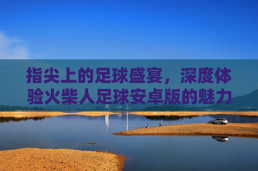 指尖上的足球盛宴，深度体验火柴人足球安卓版的魅力