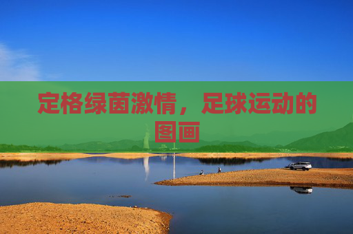 定格绿茵激情,足球运动的图画