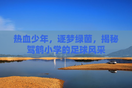 热血少年,逐梦绿茵,揭秘驾鹤小学的足球风采